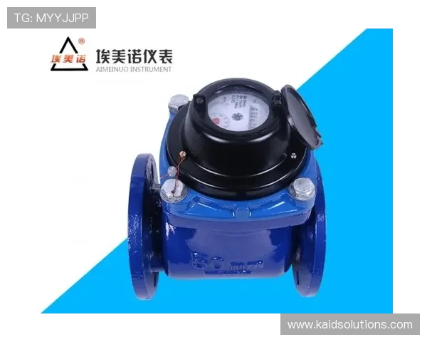 详细解析凯发k8官网电脑版的安全保障措施，保障玩家账号信息和资金安全